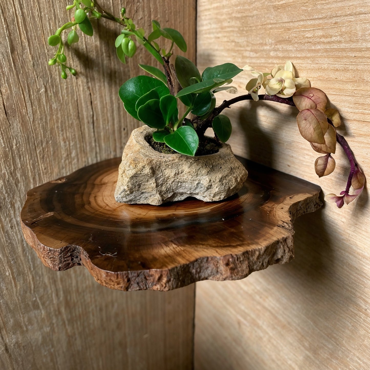 RootBloom Mini Live Edge Corner Shelf – Handmade Wood Wall Art For Small Spaces - Bespoke Wood TTK