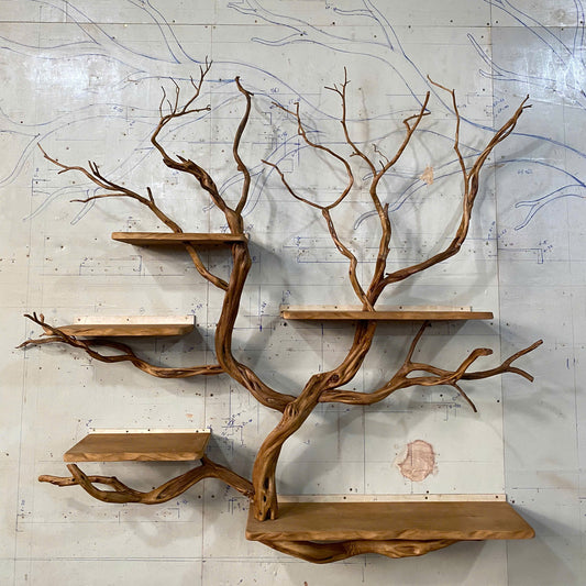 WaveNest Tree Bookshelf | Handmade Driftwood Branch Wall Bookcase - Bespoke Wood TTK