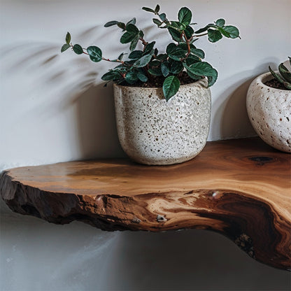 GrainNest Live Edge Floating Shelves | Rustic Solid Wood Wall Decor - Bespoke Wood TTK